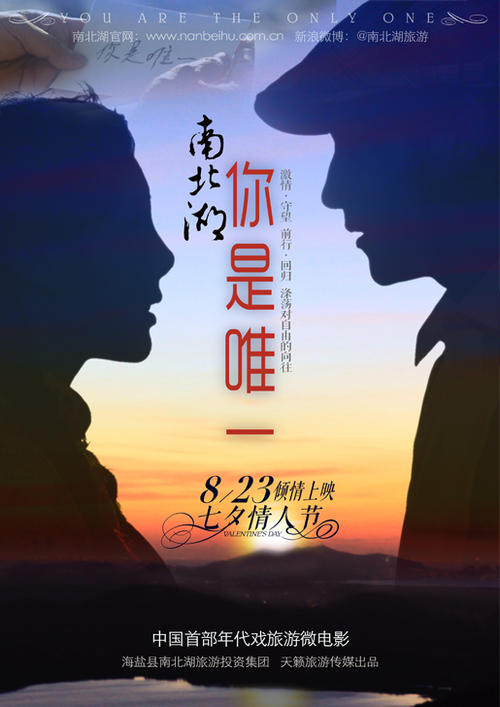 做个假的南达科他州驾驶证